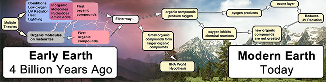 Early Earth (low oxygen, UV) vs modern (oxygen + ozone)