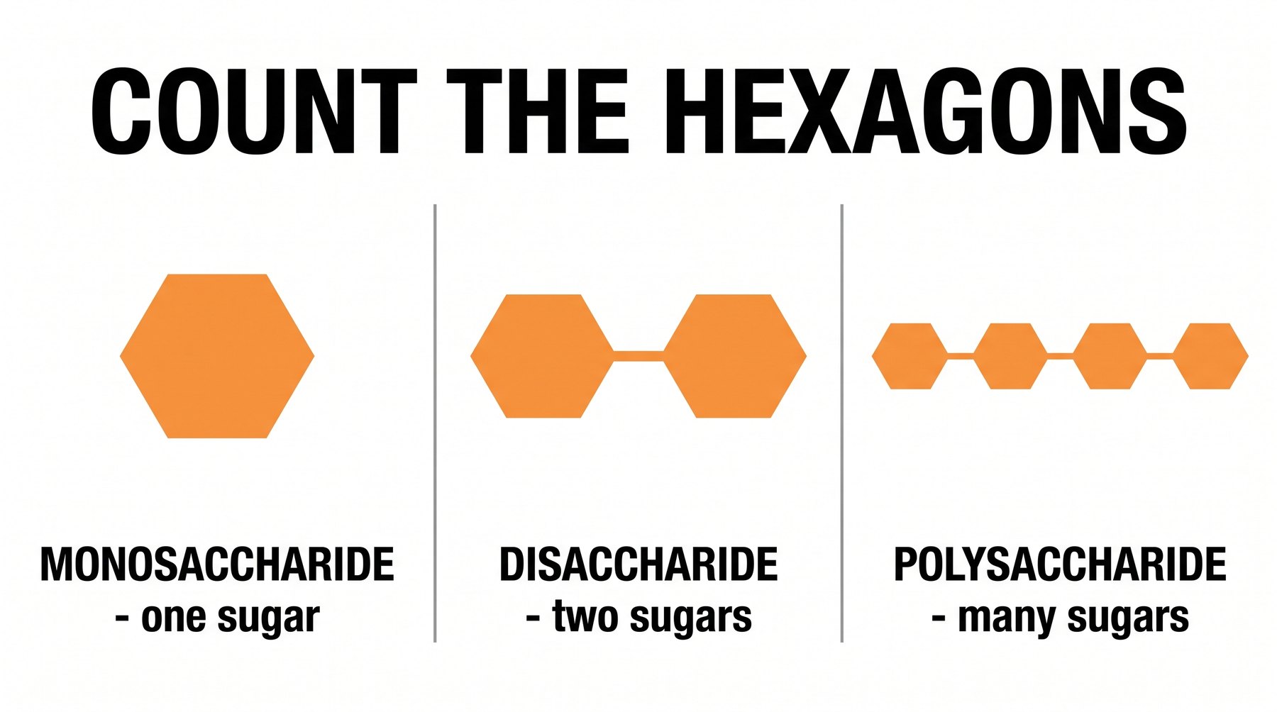Count the hexagons: one, two, or many.