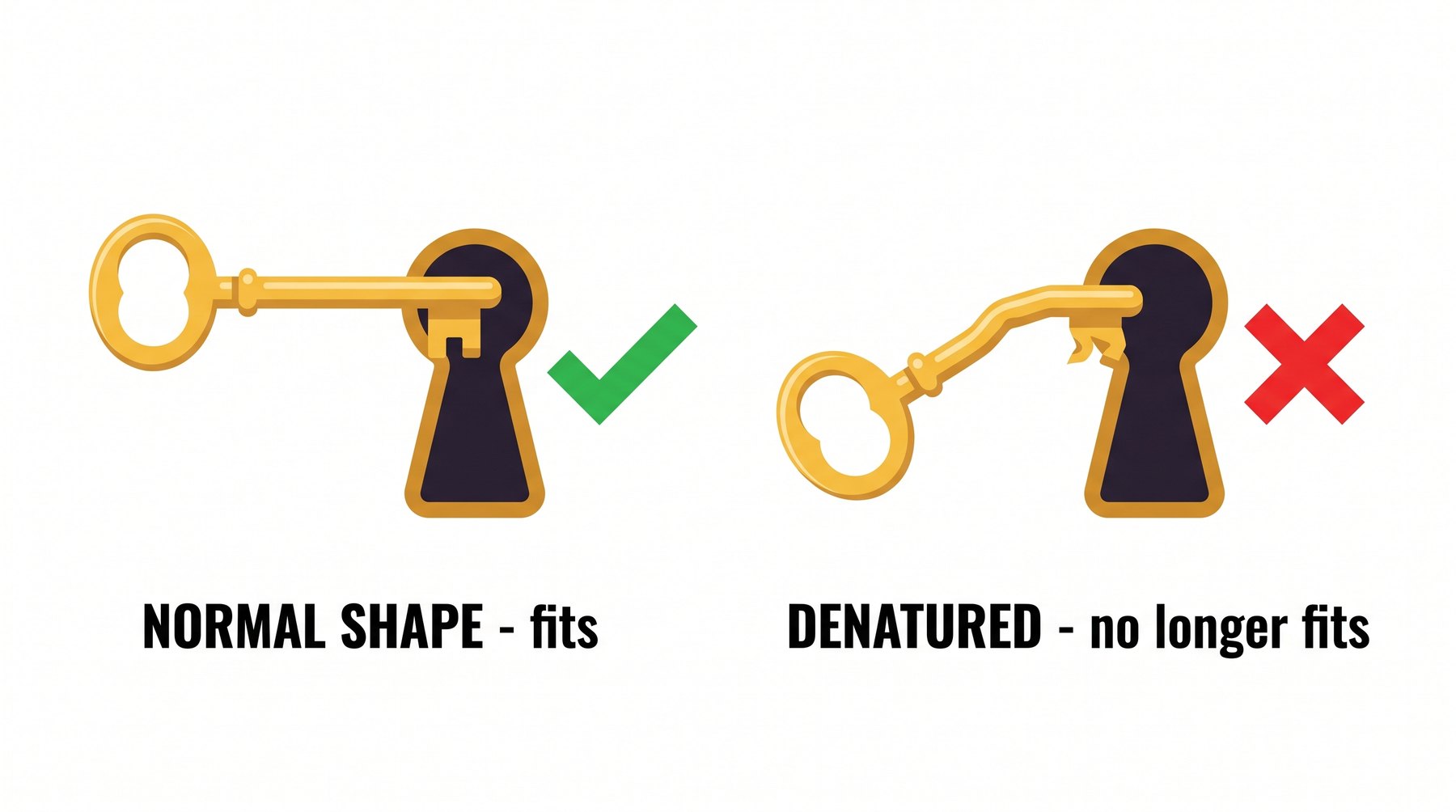 A bent key won't turn the lock. Nothing is destroyed — the shape just changed.