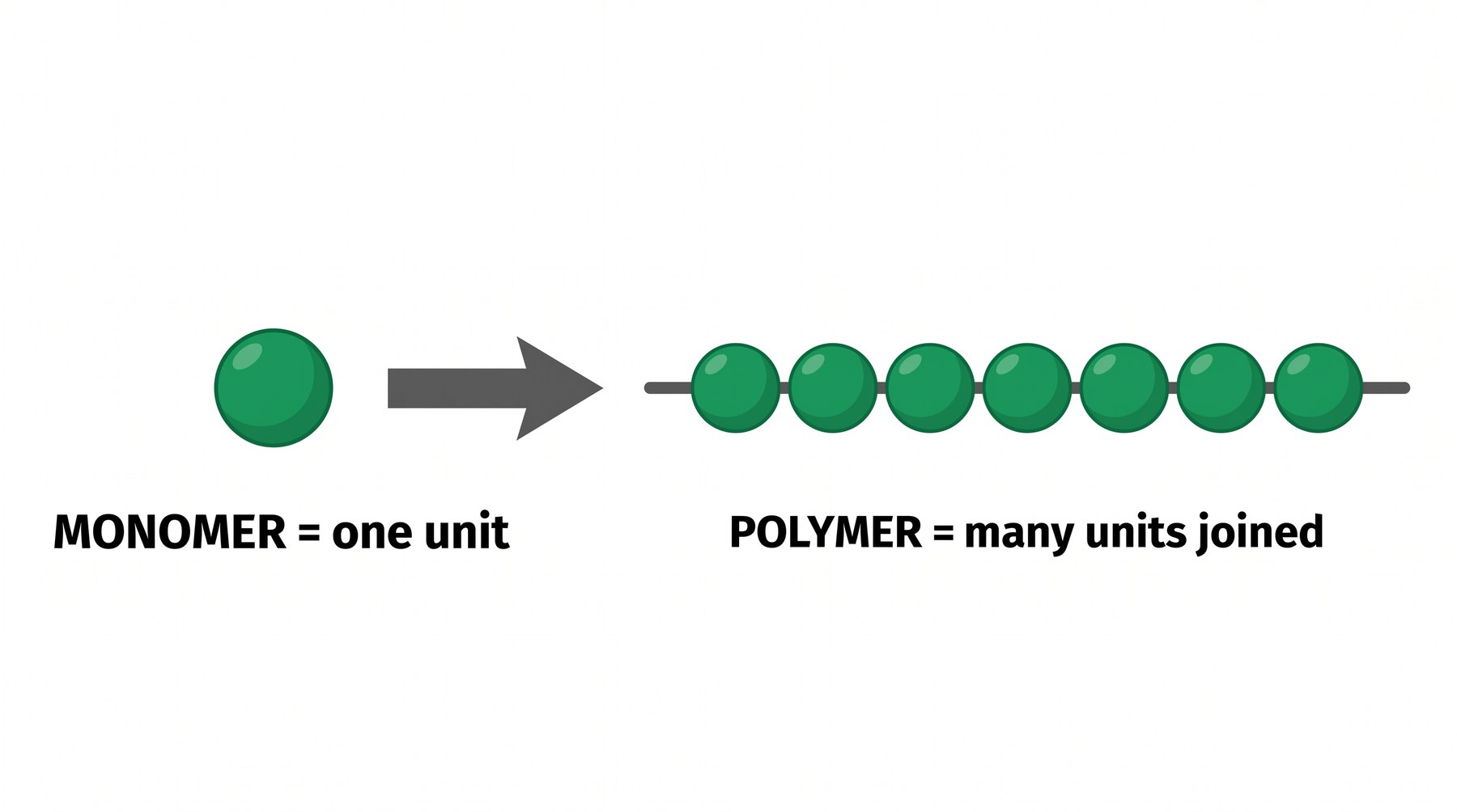 One bead = a monomer. The whole necklace = a polymer.