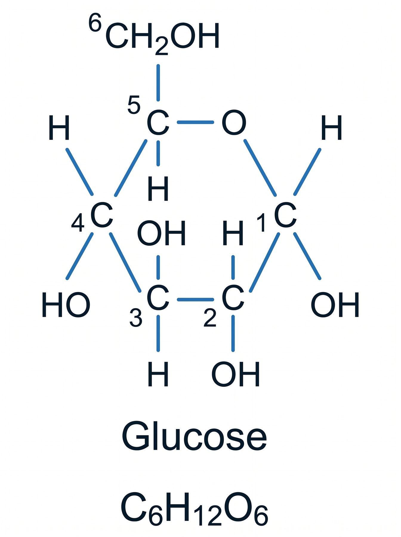 Glucose, C₆H₁₂O₆ — a single hexagon ring